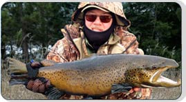 Rivers North Guide Service, Brook & Brown Trout