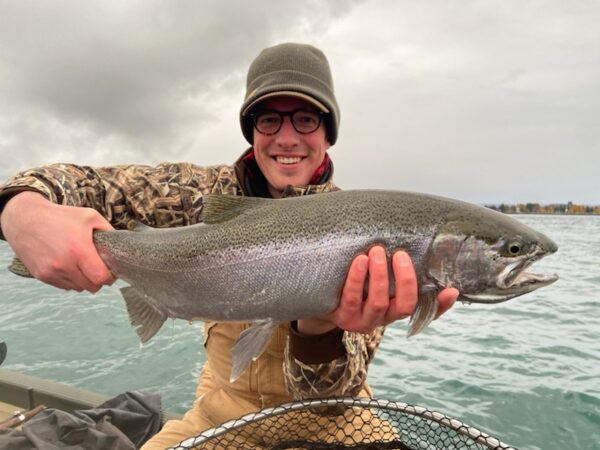 Atlantic Salmon fly fishing holidays, Species