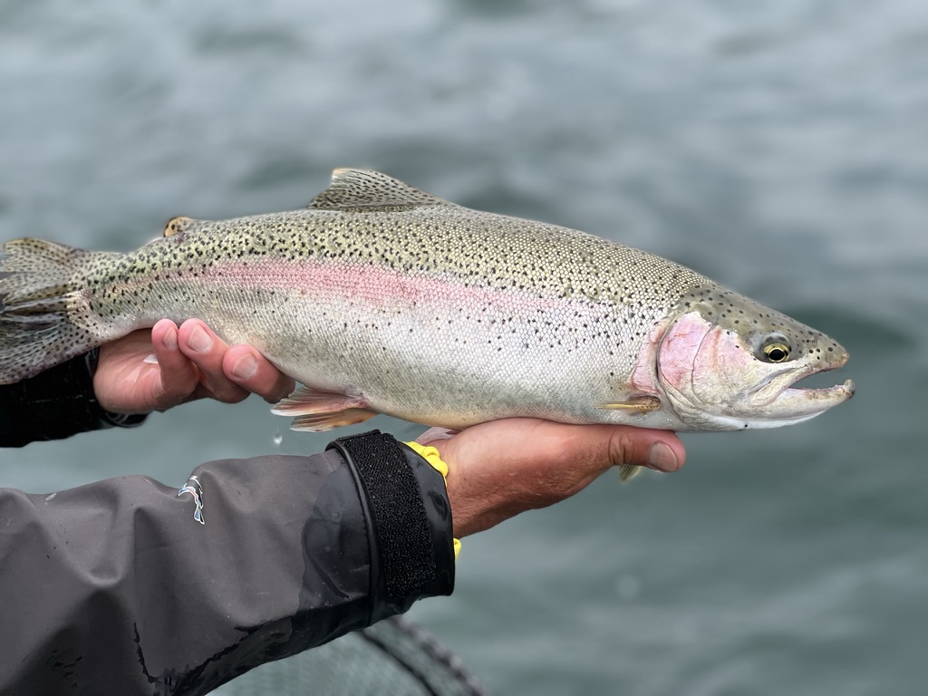Upper Michigan Fishing Report from Rivers North Guide Service