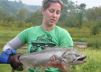 Michigan Fall Steelhead Fishing 